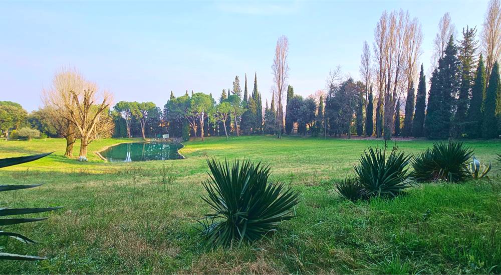 Parco