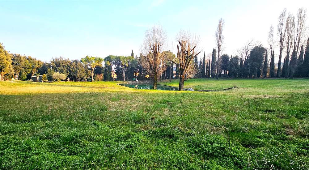 Parco