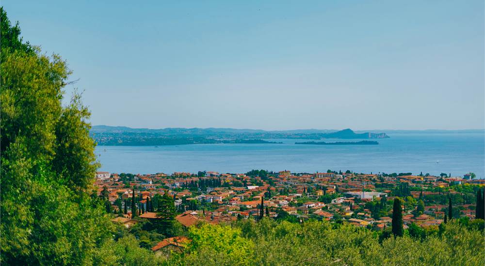 Vista